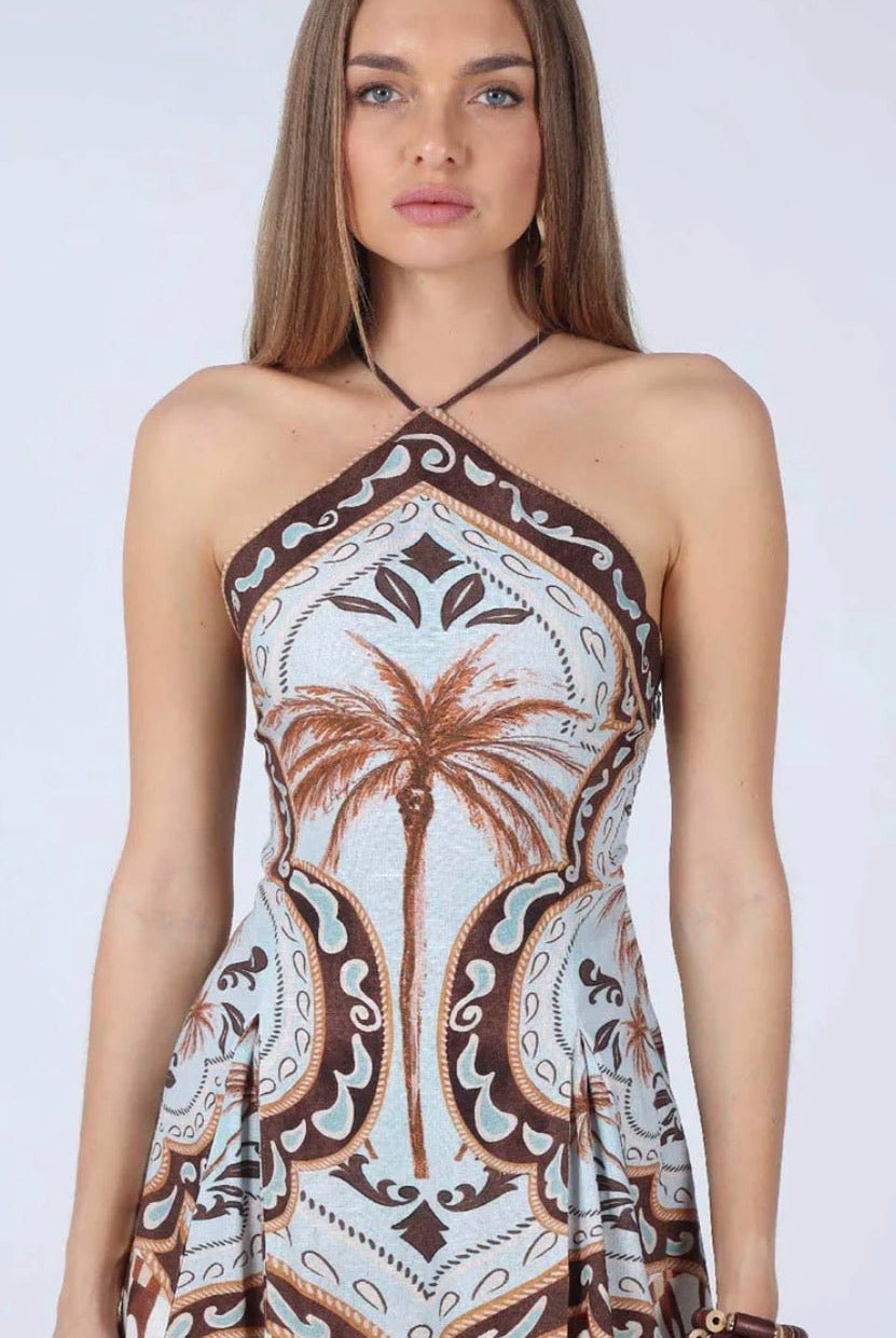 Aylaya Cecilia Halter Mini Dress - Fleur-De-Lis Boutique