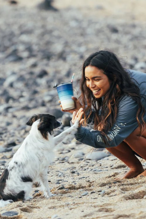 Pirani Insulated Stackable Tumbler 16 oz Sand Caslte - Fleur - De - Lis Boutique