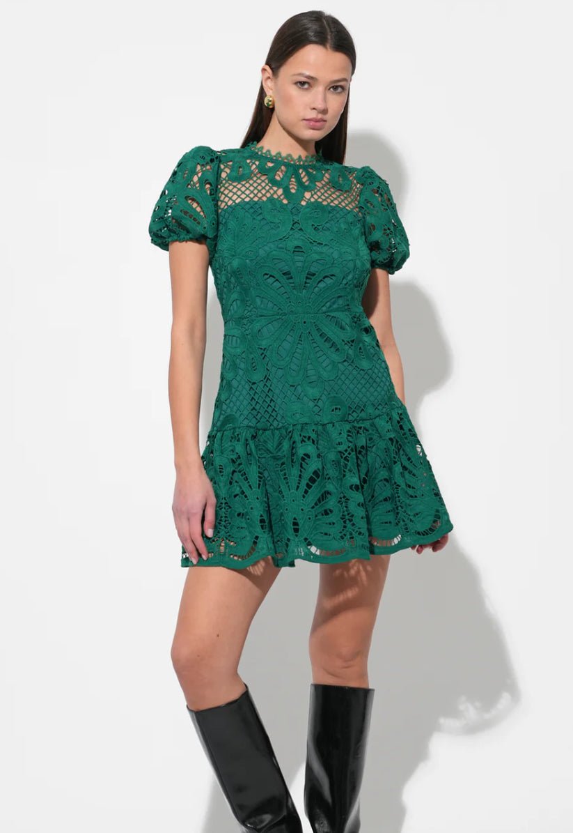 Adelyn Rae CLARISSE A LINE PLACEMENT LACE DRESS - Fleur - De - Lis Boutique