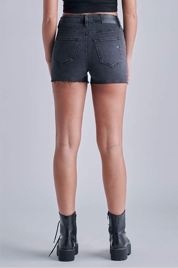 Finn High Rise Denim Shorts - Fleur - De - Lis Boutique
