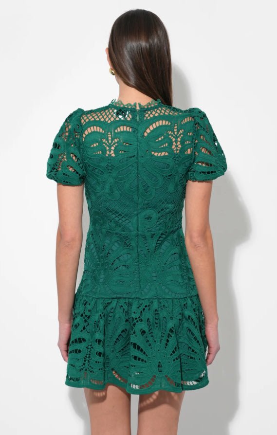 Adelyn Rae CLARISSE A LINE PLACEMENT LACE DRESS - Fleur - De - Lis Boutique