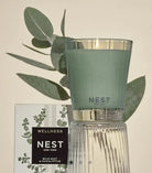 Nest Wild Mint & Eucalyptus Classic Candle 8.1 oz - Fleur - De - Lis Boutique