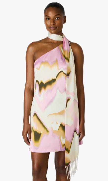 Steve Madden Charlie Dress Multi - Fleur - De - Lis Boutique